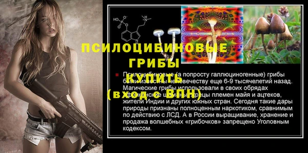 шишки Липки