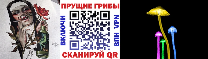 Галлюциногенные грибы Magic Shrooms  купить   мега   Елизаветинская 